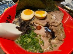 浓厚招牌豚骨拉面-一豚轩·烧鸟·豚骨拉面(五四路店)