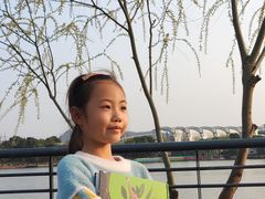 -羊山湖公园