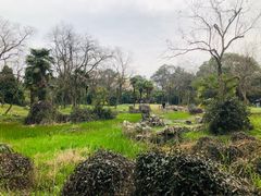-杭州植物园