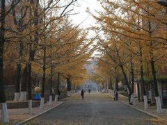 -大连理工大学(凌水校区)
