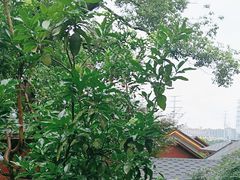 -耕渔小院·湖南鱼鲜(望城店)