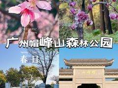 -广州市帽峰山景区
