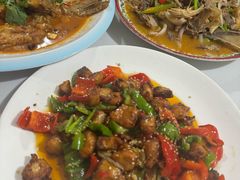 -煲来饱去冷水鱼