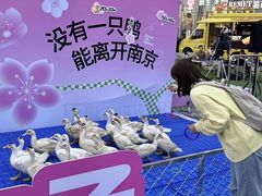 -金茂览秀城