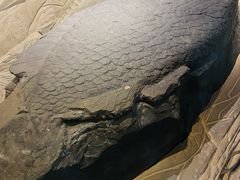 -白鹤梁水下博物馆