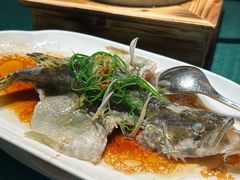 清蒸桂花鱼-大鸽饭(汉溪长隆店)