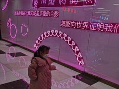 -摩天活力城·摩天轮