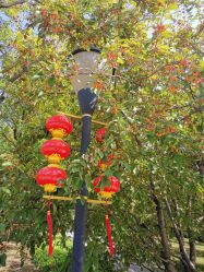 -大望京儿童游乐场