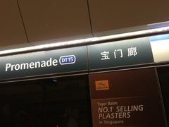 -新加坡丽思卡尔顿美年酒店