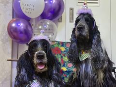 -一坐一忘云南菜(北京skp店)