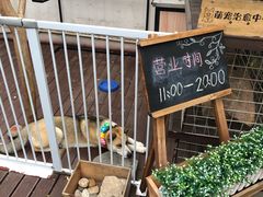 -阿兹凯乐·老洋房西餐