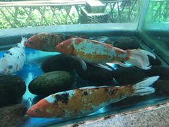 -重庆动物园·东二门售票处