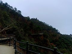 -九华山聚龙大酒店