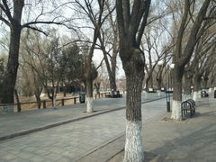 -二一九公园