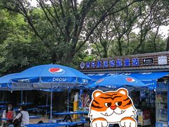 -紫金山山顶公园