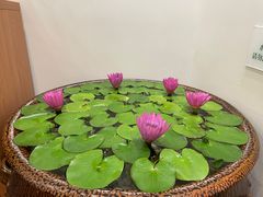 -第六季自助餐厅(北太平庄店)