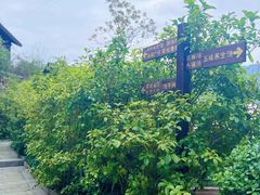 -大盘山温泉山庄