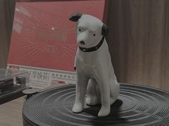 -黑胶星球(华发中城商都店)
