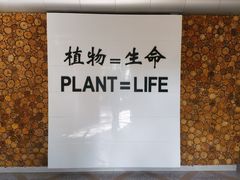 -昆明植物园