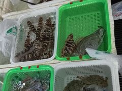 -外伶仃岛海鲜市场