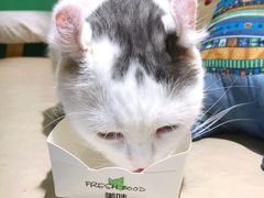 -藏猫猫咖啡主题馆(中央大道店)