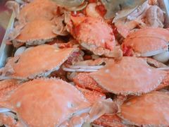 -晓伟海鲜家常菜