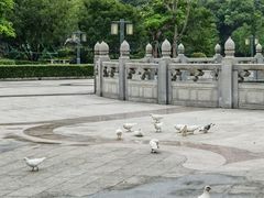 -顺峰山公园