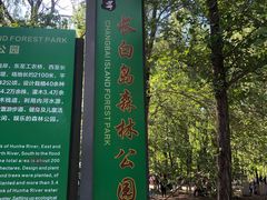 -长白岛森林公园