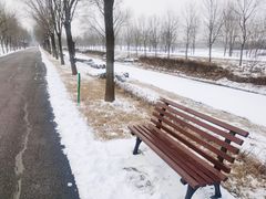 -东郊湿地公园