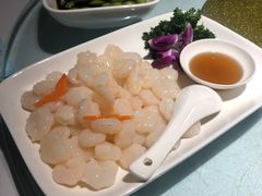 -席家花园(巨鹿花园店)