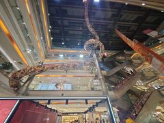 -巴黎春天(浦建店)