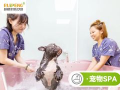 -纳吉亚猫专科动物诊疗中心(蒋宅口分院)