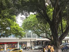 -华厦大酒店·桃源西餐厅·自助餐