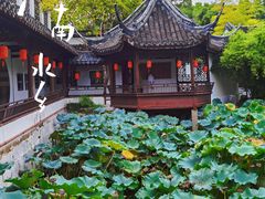 -上海醉白池公园
