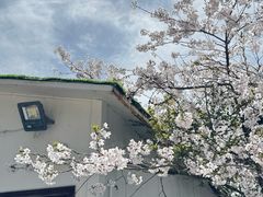 -明堂山风景区