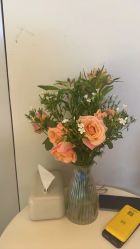 -苑苑vbeauty科技美容SPA