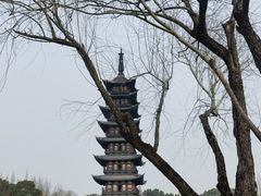 -上海方塔园