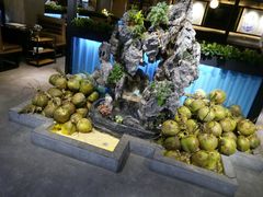 -东椰·海南椰子鸡火锅(朝阳门店)