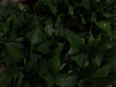 -外婆家(杭州马塍店·杭帮菜名店)