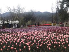 -西昌邛海湿地