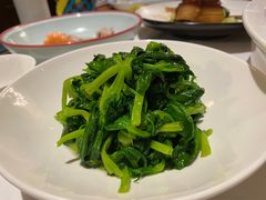高山豆苗-南麓·浙里(外滩店)
