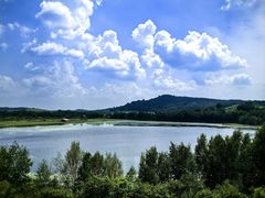 -御道口草原森林风景区