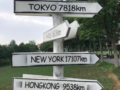 -大塘金香草谷