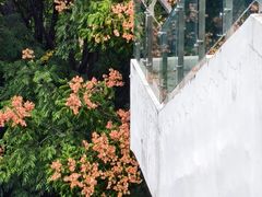 -武汉荟聚