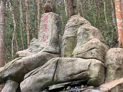 -普洱太阳河森林公园