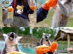 -济南野生动物世界