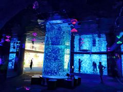 -江和美海洋公园