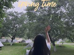 -秀丽东方