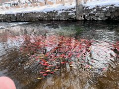 -水磨沟公园