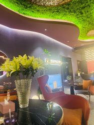 -花隐·美芙炫海菲秀皮肤管理中心